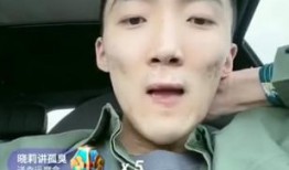 李舒克爆料天佑视频播放,天佑视频播放背后的惊人真相