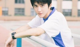 张小寒最新爆料张新成,张小寒独家爆料引热议