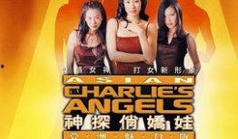 神探俏娇娃在线观看,探案奇缘，智慧与美貌的完美碰撞