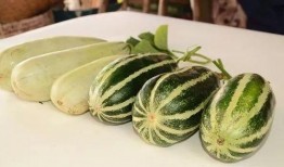 网红吃瓜视频的特点,娱乐狂欢背后的真相与争议