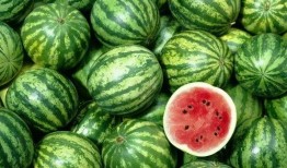 网红吃瓜世界合集,揭秘娱乐圈幕后风云