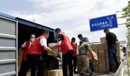 吉林志愿者爆料事件视频,真相与反思