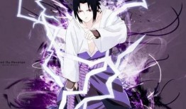 佐助视频爆料大全,揭秘忍者世界的秘密与传奇