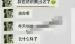 学生爆料吃瓜视频大全集,校园风云录