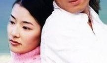 薰衣草连续剧在线观看,浪漫邂逅，青春记忆