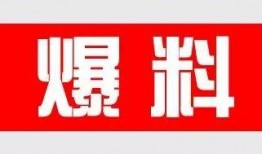 有料必爆料的视频,独家内容背后的故事与真相