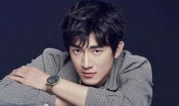 成毅村里人爆料视频网