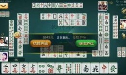 麻将配料爆料视频播放,视频播放带你探秘麻将背后的秘密