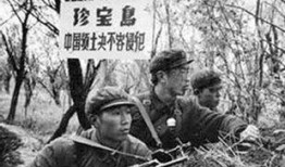 爆料珍宝岛战役视频大全,历史瞬间重现