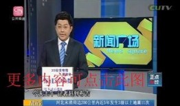 深圳新闻广场爆料,重大事件引发社会关注