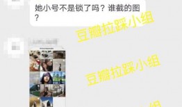 陈飞爆料原视频,原视频背后的惊人真相