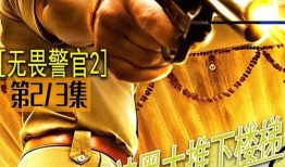 无畏警察在线观看,热血守护，正义在线