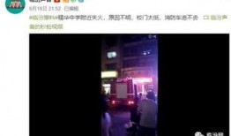 石家庄高校爆料视频播放,揭秘校园生活幕后真相