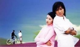 薰衣草连续剧在线观看,浪漫邂逅，青春记忆