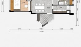 中山乌鸦哥爆料新闻最新,揭秘最新热点事件内幕