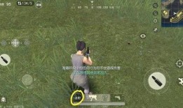 荒野行动最新活动爆料历史,回顾历史，展望未来精彩纷呈