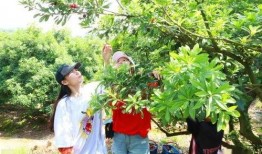 藿藿最新技能爆料,解锁神秘力量，战力再升级！