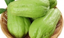 云南新瓜最新爆料,揭秘神秘事件背后的真相