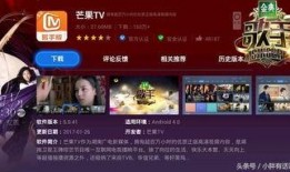 蓝海员工爆料视频播放网站,视频播放网站幕后真相曝光