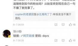 冰心爆料仙某人视频,仙某人视频背后的惊人真相