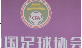 北京足协爆料冬奥会视频,冬奥会精彩瞬间幕后花絮