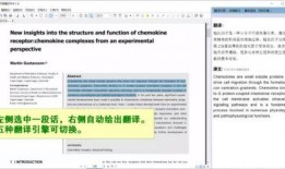 新闻爆料英语翻译成中文,揭秘事件背后真相