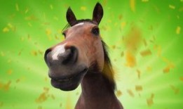 谁爆料八卦大驴的视频大全,独家爆料视频大全大揭秘