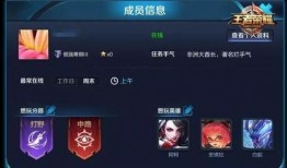 王者新天幕爆料最新版,揭秘神秘新版本，畅享全新游戏体验