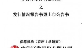中核钛白最新爆料,揭秘行业变革与技术创新