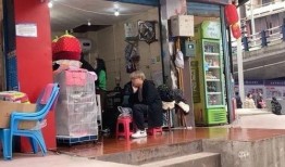 网友爆料宠物店视频大全,视频大全揭露行业黑幕