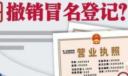 今日爆料新闻讲解视频大全,视频大全爆料新闻深度解析