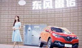 雷诺爆料贵阳二小姐期间视频,雷诺爆料视频背后的真相