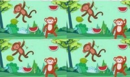 吃瓜故事短文免费阅读,揭秘吃瓜故事背后的秘密