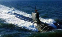 德国爆料海狼视频大全,震撼视频大全背后的真实故事