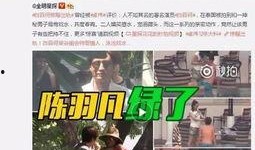 阿诺被爆料录屏视频,揭秘幕后真相