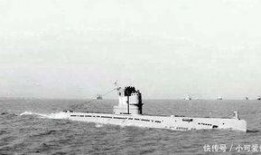 德国爆料海狼视频大全,震撼视频大全背后的真实故事