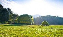 浙江野炊露营爆料视频大全,视频大全带你领略户外生活魅力