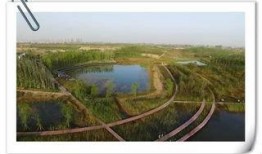 沣西新城爆料事件最新,揭秘背后真相与争议焦点