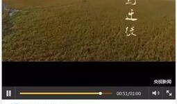 三门峡今日爆料新闻直播