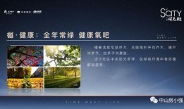 中山乌鸦哥爆料新闻最新,揭秘最新热点事件内幕