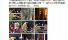 娱乐圈今天爆料,明星恋情曝光，真相令人震惊！