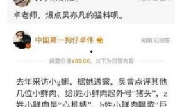 高招爆料打脸视频,真相与谣言的碰撞