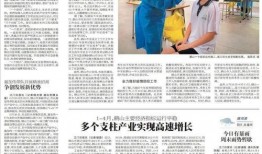 鹤山市爆料新闻,揭秘背后真相，引发社会关注