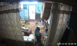 揭阳最新爆料消息新闻,重大事件背后真相揭晓！