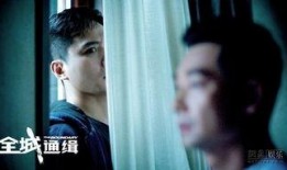 全城通缉电影在线观看,揭秘犯罪背后的正义之战，在线观看惊心动魄！