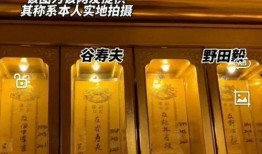 战犯牌位爆料视频下载,历史真相与争议焦点深度剖析