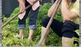 娱乐健身吃瓜,吃瓜群众乐翻天