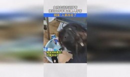 女孩爆料吃牙膏视频播放,牙膏成新宠？女孩直播吃牙膏引发网友热议