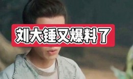 刘大锤今天爆料视频,揭秘今日热点事件内幕