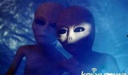 官方爆料外星人视频大全,震撼外星人视频大全，探寻宇宙未知之谜